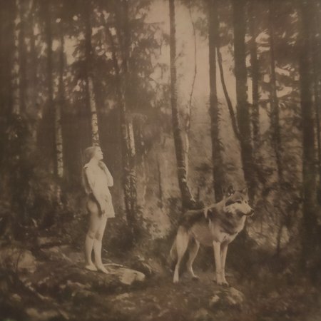 nostellum girl and wolf in forest<lora:nostellum:1>