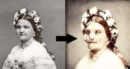 Human to Furry