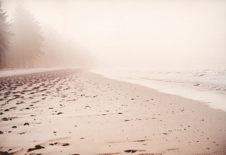 lith_argenta_BH1r,  instagram photo, a foggy beach in germany, hard shadows, film grain