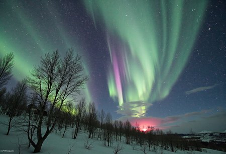 The Aurora Borealis, also known as the Northern Lights, is a mesmerizing natural wonder that illuminates the night sky in a symphony of colors. A dynamic dance of green, blue, and pink hues, it creates an ethereal atmosphere that takes one's breath away. Swirling and shimmering like an otherworldly veil, this celestial spectacle seems to pulse and undulate, as if guided by some mystical force. It is a sight so captivating that one could stand in awe for hours on end, lost in its transcendent beauty. The Aurora Borealis is truly a masterpiece of nature, an enchanting spectacle that leaves all who witness it in wonder and amazement. <lora:bde7f959-72ee-4159-ab48-72deac89b6c0.TA_trained:1>
