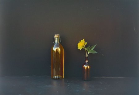 zenit_kodak_gold, instagram photo,a bottle with a flower, hard shadows, film grain