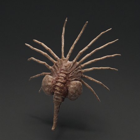 fchgr 
<lora:Xenomorph_Facehugger_v2.0_SDXL:1>
