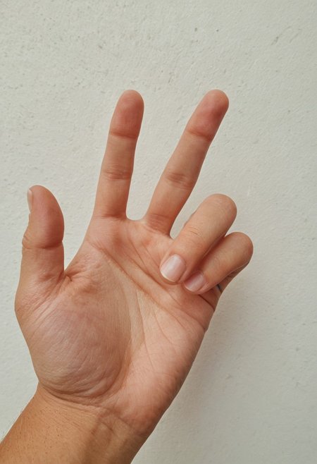 a hand, perfect hand, 4 fingers, 1 thumb,
(8k, RAW photo, highest quality), 
