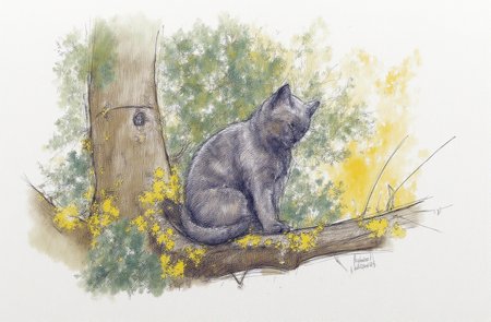 Sharp image of a rough sketch, rendered in vibrant multi colour ballpoint pen, capturing the adorable features of a portait of a gray cat sitting on a tree branch. The cat is facing towards the right side of the image and appears to be looking off into the distance. The tree branch is covered in yellow lichen and there are other trees and foliage in the background. The image is taken from a low angle, with the cat's body slightly angled towards the camera. The background is blurred, but it seems to be a forest or wooded area with sunlight shining through the trees.  p3nsk, <lora:p3nsk:1>