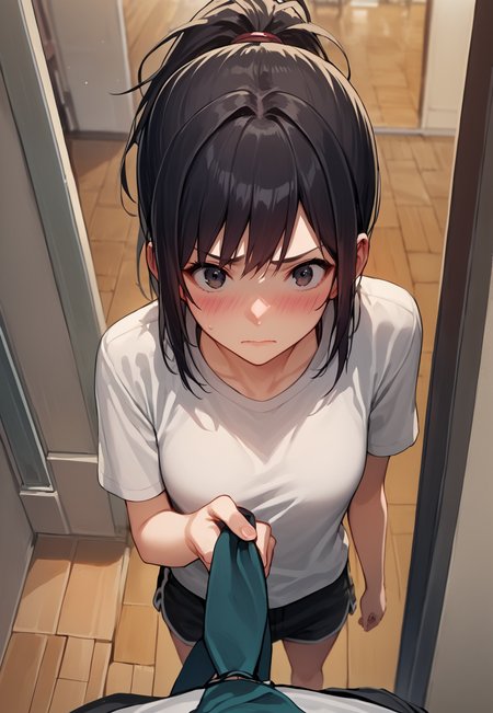 score_9, score_7_up, source_anime
1girl,  necktie grab, neckwear grab, 1boy, pov, solo focus, indoors, t-shirt, shorts,  standing, from above, ponytail, embarrassed,
 <lora:necktie_grab_xl:0.8>