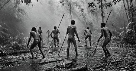 black and white photograph of few indigenous people hunting with spears and sticks in the amazonian rain forest, insane details, dramatic lights, high definition, 35mm camera, film photography style, heavy grain, ral-chrosc-bw, masterpiece, national geographic style, strong vignette, high contrast
