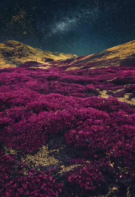 landscape of a (Celestial Plains of the Starry Fields:1.3) , Stone, hillside, Anime screencap, Islandpunk, side lit, Depth of field 100mm, Magenta background, intricate, <lora:novuschroma27 style_b:1> novuschroma27 style, gold foil, cool colors, inspired, detailed, romantic, dynamic dramatic beautiful full taking, grand illumination, fine artistic composition