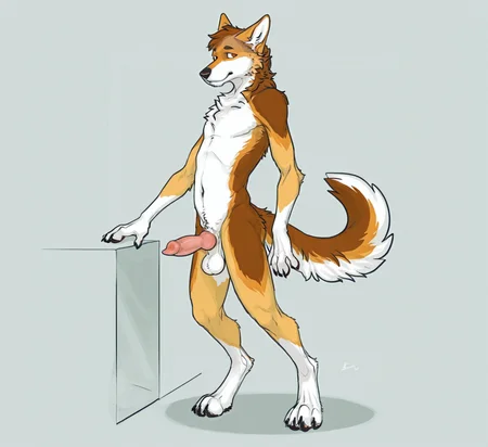Sui Wolf55