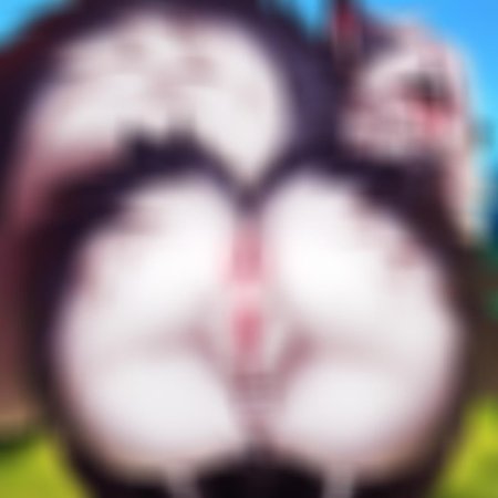Preview 129587697