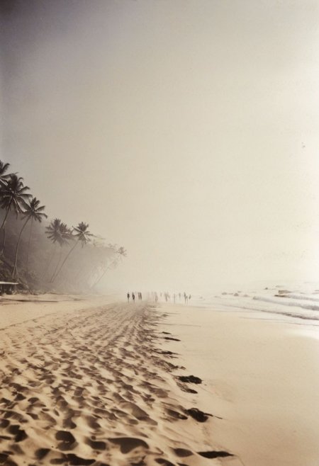 lith_agfabrovira_BEH111, instagram photo, a foggy beach in sri lanka, hard shadows, film grain