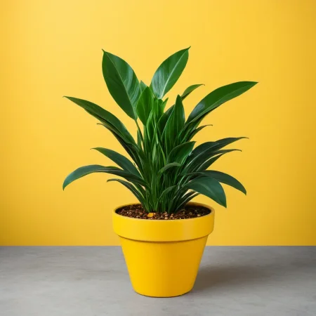 (plant pot showcase) <lora:27_plant_pot_showcase:1.1>
Yellow background,
high quality, professional, highres, amazing, dramatic,
(Public library and reading hour:0.5),