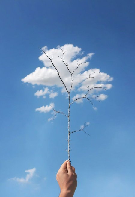 F-B-C, POV, foreground: a hand holding a tree branch  , background: clouds  , effect: a tree with clouds as leafs
