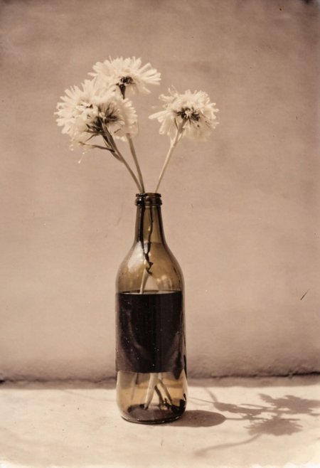 lith_agfabrovira_BH21, instagram photo,a bottle with a flower, hard shadows, film grain