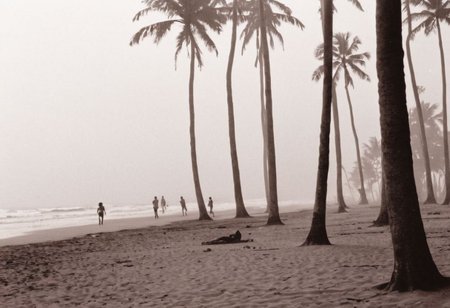lith_argenta_bromBN1W, a foggy beach in sri lanka, hard shadow