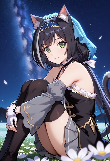 medium depth of field, rule of thirds, masterpiece-level, clean lines, sharp, focused subject, minimalistic composition, masterpiece, amazing quality, best quality, anime screencap, detailed face, detailed eyes, detailed outfit, face focus, 
general,highres, ultra-detailed,very aesthetic,best quality ,best hands, perfect anatomy,detailed,
BREAK 1girl, solo, pcrcal, black hair, streaked hair, cat ears, animal ear fluff, cat tail, green eyes,
calover, low twintails, hairband, blue veil, black choker, black dress, white ribbon, gold trim, layered dress, brooch, sleeveless dress, frilled collar, halterneck, bare shoulders, wide sleeves, grey sleeves, detached sleeeves, white gloves, fingerless gloves, overskirt, grey skirt, pleated skirt, black thighhighs,
from front, from side, cowboy shot,
sitting, hugging own legs, knees arms support, happy, light smile, looking at viewer,
light particles, blue light, 
Flower Field, moon,
outdoors, night sky, strarry sky, milky way, scenery,