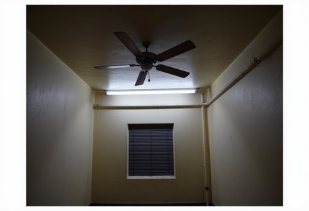 Indian_Building_Flux, no humans, scenery, window, door, indoors, industrial pipe
This photograph captures a dimly lit, sparsely furnished room with a stark, minimalist aesthetic. The walls are a dull, off-white color, with a slightly rough texture, indicating plaster or stucco. The ceiling features a ceiling fan with wooden blades, mounted on a central beam. A single, long fluorescent tube light is suspended from the ceiling, casting a harsh, bright light on a small window with horizontal blinds. GoPro lens, Ultra HiRes Photography