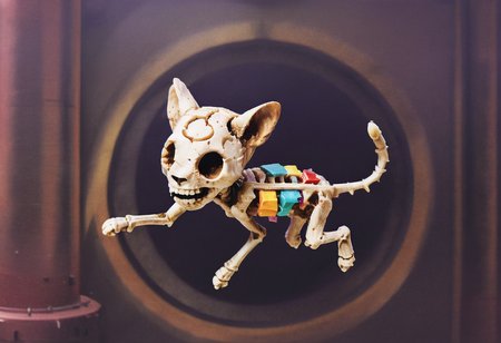 a colorful chibi skeleton cat running toward the viewer, insanely intricate details, uncanny, lynch style <lora:lynchstyle_v0.0.3:1.6>