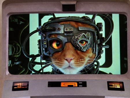 <lora:star_trek_tng_v10_sdxl:1> an orange cat, borg, holographic eyepiece, on viewscreen of bridge
