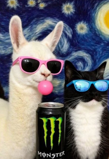 A quirky and colorful scene featuring a llama [wearing pink sunglasses] and blowing a pink bubblegum BREAK a sleek black-and-white cat [wearing reflective blue sunglasses] blows a blue bubblegum BREAK a large Monster energy drink can stands prominently in the background. The characters are set against the iconic "Starry Night" painting by Van Gogh, BREAK creating a surreal contrast between art, humor, and commercialism. The playful, cartoonish vibes are enhanced by the BREAK [bright, pastel colors | soft and whimsical atmosphere], combining elements of pop culture with classic art.