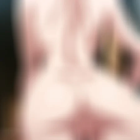 Preview 127478678