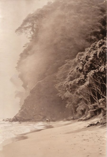 lith_agfabrovira_BH21, instagram photo, a foggy beach in sri lanka, hard shadows, film grain