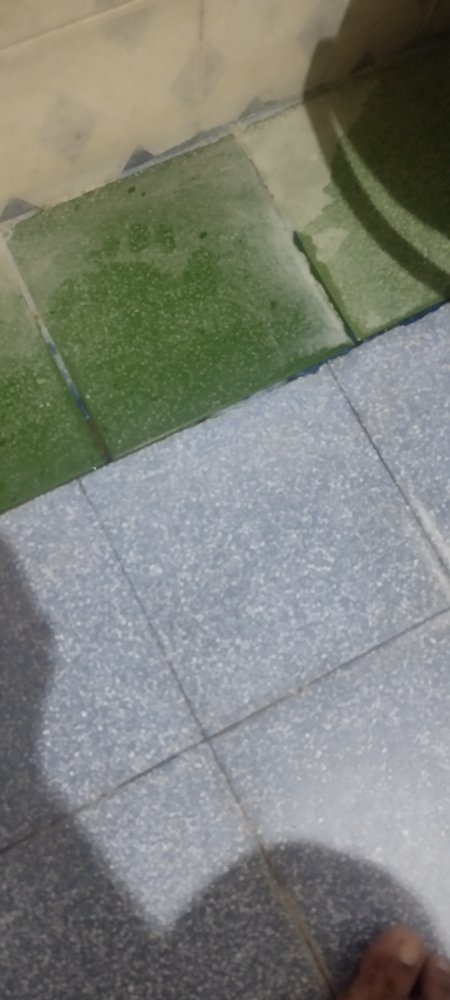 Preview 104768074
