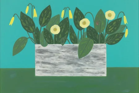 dorislee1 painting.
A still life featuring a simple rectangular wooden planter with visible grain
and texture, placed against a solid teal background. The planter is filled with
green leaves and Christmas rose flowers or Helleborus foetidus.
 <lora:dorislee1_cap_d6a3:1.0><lora:834816251055475634:0>
