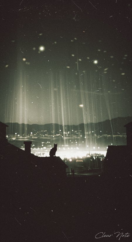 Japanese Culture Style, Emotional Photos, A cat,