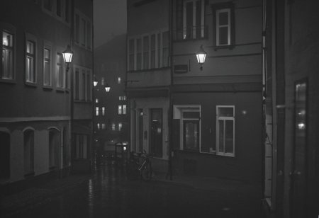 hasselblad, monochrome, instagram photo, in the picture you can see a german old town at night and fog. the streets are illuminated with streetlights and in the sky is the full mod