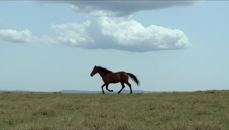 cinematic wide shot of a horse running over a grassy steppe in the distance. Blue sky with dramatic clouds. Soft natural light. High resolution. 1980s movie <lora:dark_cinematic-000080:1>