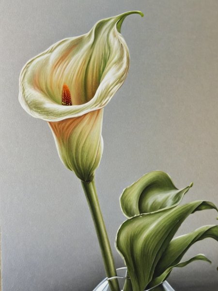 oil painting,  detailed, depth of field, cala lily by ingrid-elias-style in a glass flower vase sitting on a table with a  window in the background<lora:ingrid_elias_style:1>