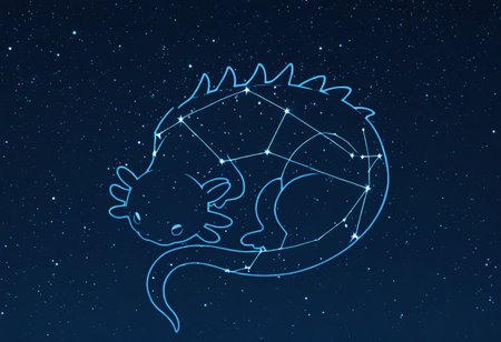 masterpiece, best quality, newest, absurdres, highres, anime, anime style, LSCV1.0, constellation, star (sky), starry sky, night sky, night, starry sky, no humans, animal, animal focus, axolotl, silhouette, monochrome,