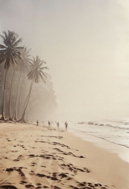 lith_agfabrovira_BEH111, instagram photo, a foggy beach in sri lanka, hard shadows, film grain