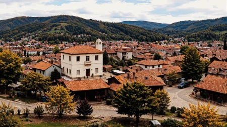 bookstore, beautiful Citizen of Bosnia landscape,  woman, multilayer paint splash style, <lora:Hand v2:1> <lora:Anti-Blur:1> <lora:Insane Detail Slider:0.5>   <lora:Flux.1_Turbo_Detailer:0.6>   <lora:flux-photo-transparent_Alpha_1.0:0.8> <lora:flux.1_lora_flyway_Epic-detail_v2:1>   <lora:Painterly01b_CE_FLUX_AIT:0.8> pntrlyCE_style