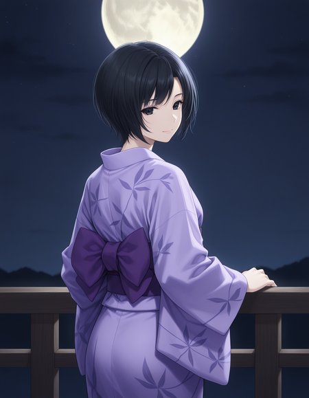 1girl, solo, tokisaka yukari, black hair, short hair, black eyes, light smile, purple kimono, purple obi, long sleeves, standing, looking back, (from side:0.5), (from behind:0.3), cowboy shot, night, dark sky, moon <lora:tokisaka_yukari_ilxl_v1:0.7>