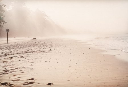 lith_argenta_BH1r,  instagram photo, a foggy beach in asia, hard shadows, film grain