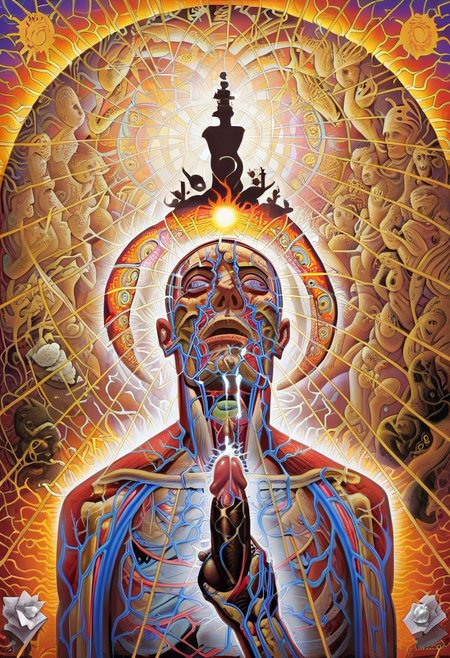 score_9, score_8_up, score_7_up, alexgrey, solo, anatomical, lattice, veins, high contrast, portrait of a bald human without face, complex background, inferno of burning sun, medieval painting, silhouette, light on body, bright human, bright fractal tentacle sex,  in background, facepaint mask,  shark head penises as eyes, face to side, hand up, white silhouette, explicit, tissue in nostril,