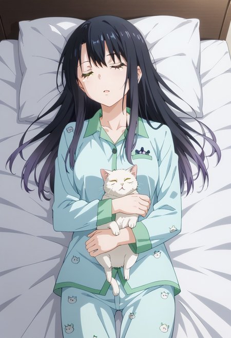 score_9, score_8_up, score_7_up, score_6_up, score_5_up, score_4_up, detailed eyes, (detailed skin:1.8), source_anime, masterpeice, best quality, very aesthetic, absurdres, best lighting, cg coloring, soft lighting, soft shading, BREAK,1girl, Yotsuya_Miko, yellow_eyes, black_hair, long_hair, gradient_hair, medium_breasts,
BREAK, yellow_eyes, black_hair, long_hair, gradient_hair, medium_breasts, BREAK, pajama, pajamas, pajama pants, BREAK, bed, in bed, BREAK, sleeping, eyes closed, peacefully, cat, cuddling with cat, BREAK,